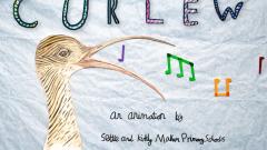 CURLEW TITLE PAGE