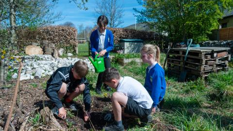 Four pupils planting seed bombs in the wildlife garden