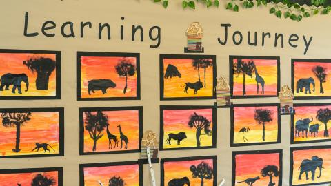 All display about the learning journey,  pictures of  animals wild animals in the Serengeti